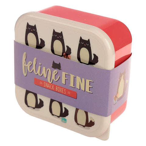 Puckator Fun Cat Design Set Of 3 Plastic Lunch Box